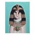 Empire Art Direct High Resolution Pets Rock Giclee Printed on Cotton Canvas on Solid Wood Stretcher - Cleopatra GIC-PR022-2016
